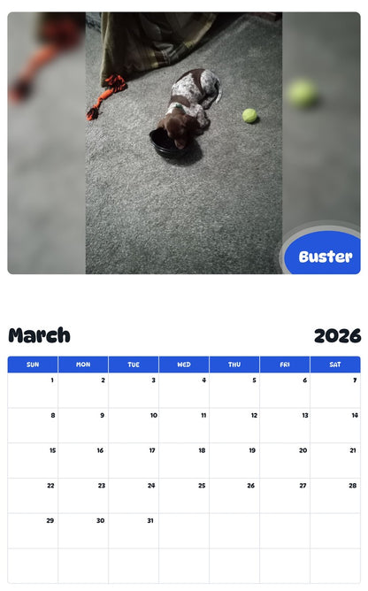 November 2025 - October 2026 Buster - Pawidols Pet Calendar