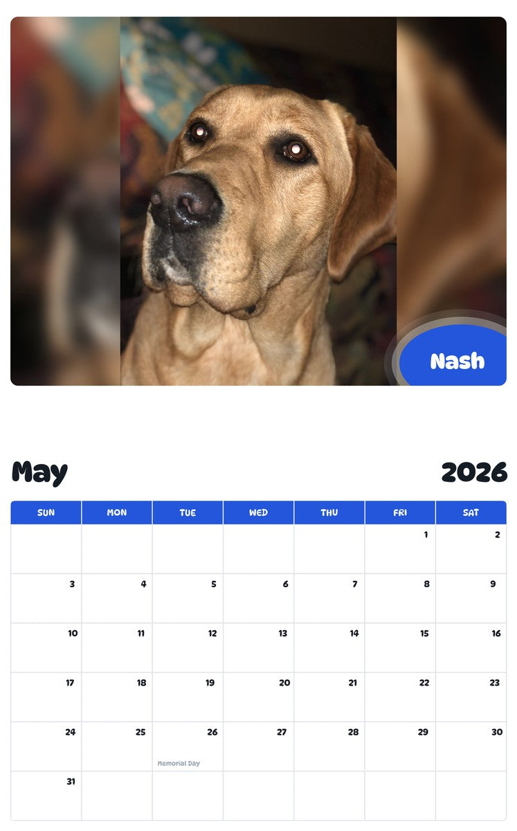 2026 - 2027 Nash - Pawidols Pet Calendar