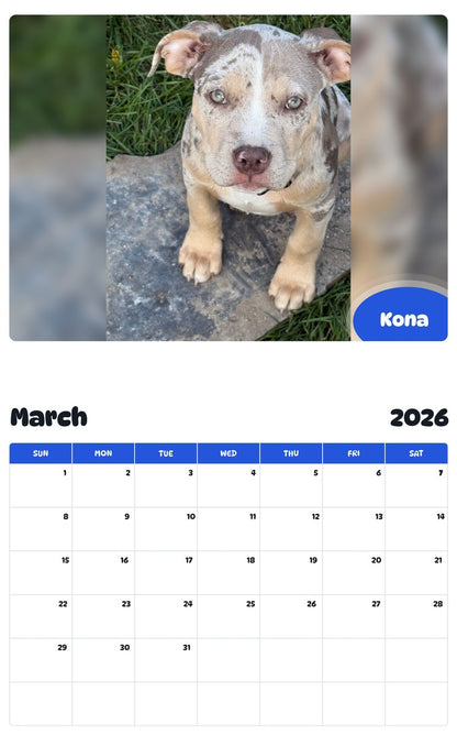 November 2025 - October 2026 Kona - Pawidols Pet Calendar