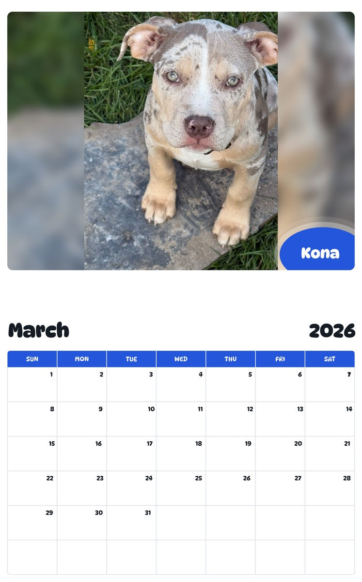 November 2025 - October 2026 Kona - Pawidols Pet Calendar