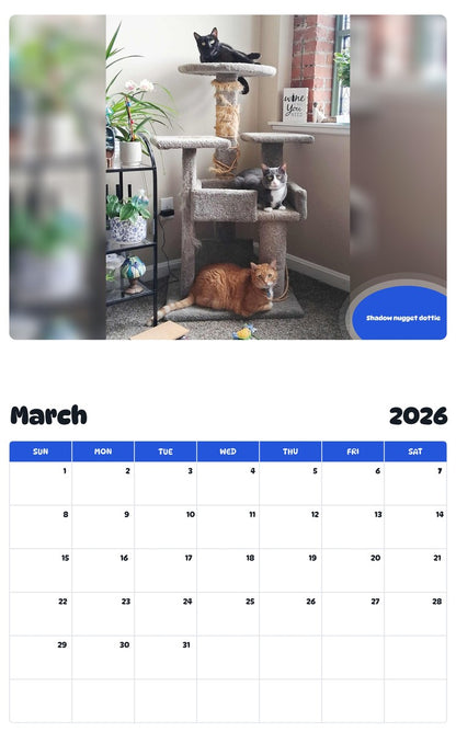November 2025 - October 2026 Shadow nugget dottie - Pawidols Pet Calendar