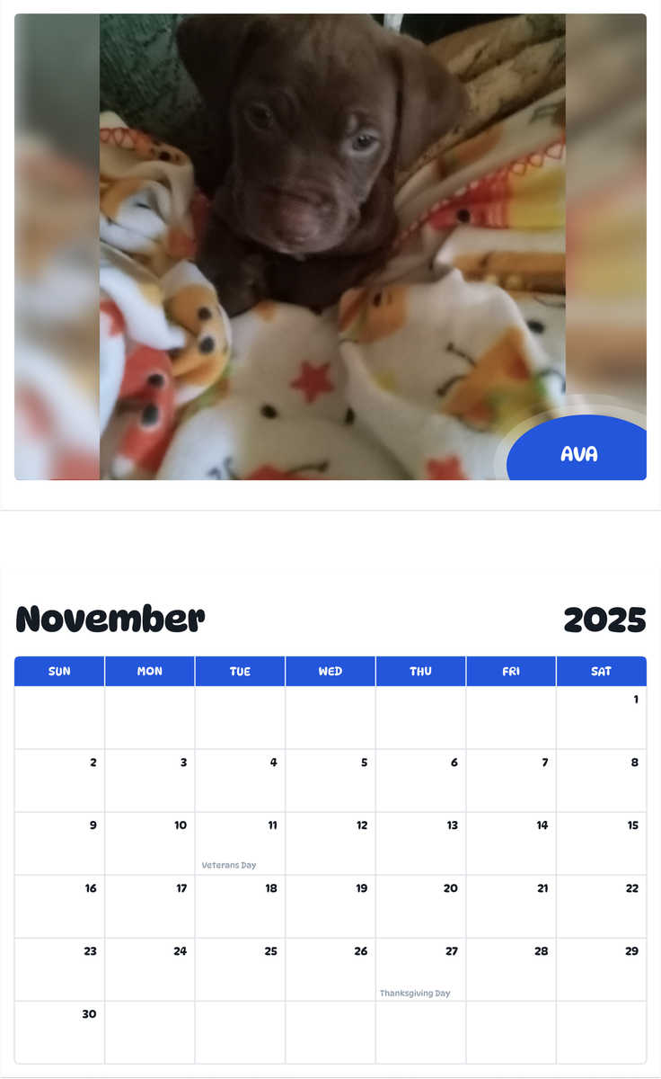 July 2025 - June 2026 Ava - Pawidols Pet Calendar