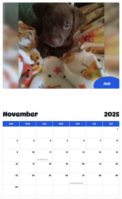 July 2025 - June 2026 Ava - Pawidols Pet Calendar