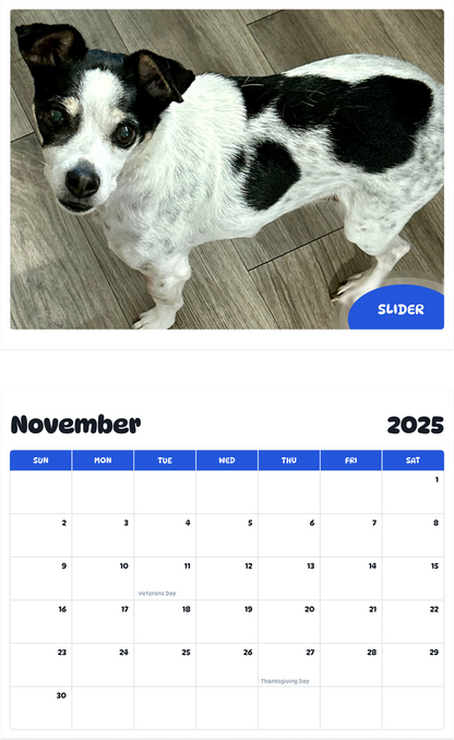 July 2025 - June 2026 Slider - Pawidols Pet Calendar