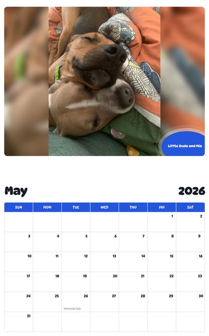 2026 - 2027 Little Dude and Mia - Pawidols Pet Calendar