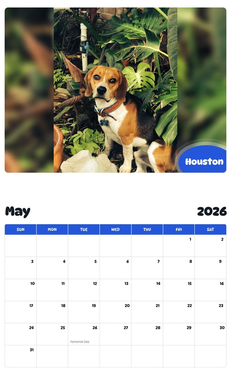 2026 - 2027 Houston - Pawidols Pet Calendar