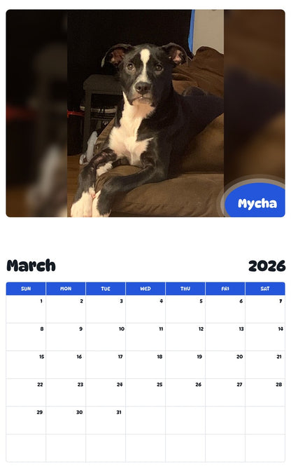November 2025 - October 2026 Mycha - Pawidols Pet Calendar