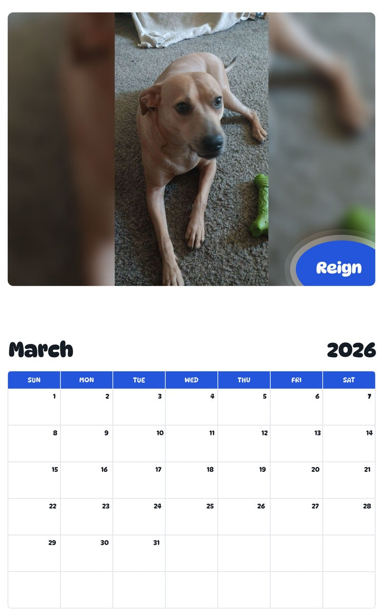 November 2025 - October 2026 Reign - Pawidols Pet Calendar