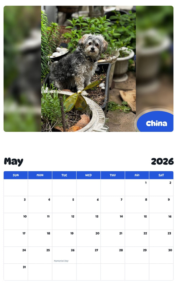 2026 - 2027 China - Pawidols Pet Calendar