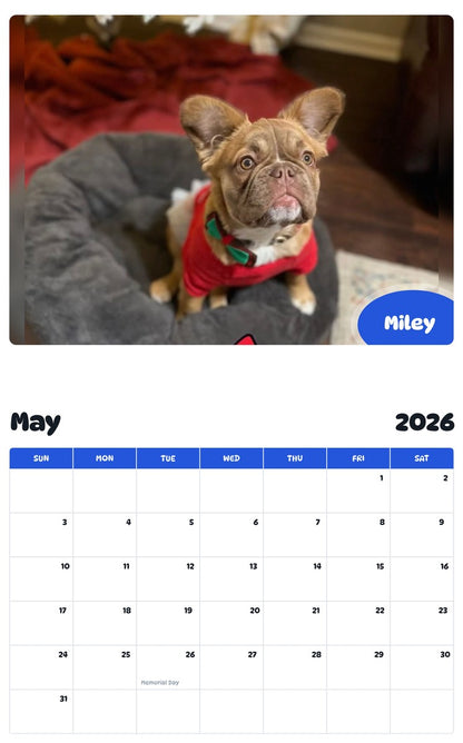 2026 - 2027 Miley - Pawidols Pet Calendar