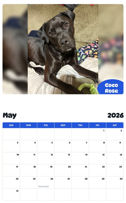 2026 - 2027 Coco Rose - Pawidols Pet Calendar