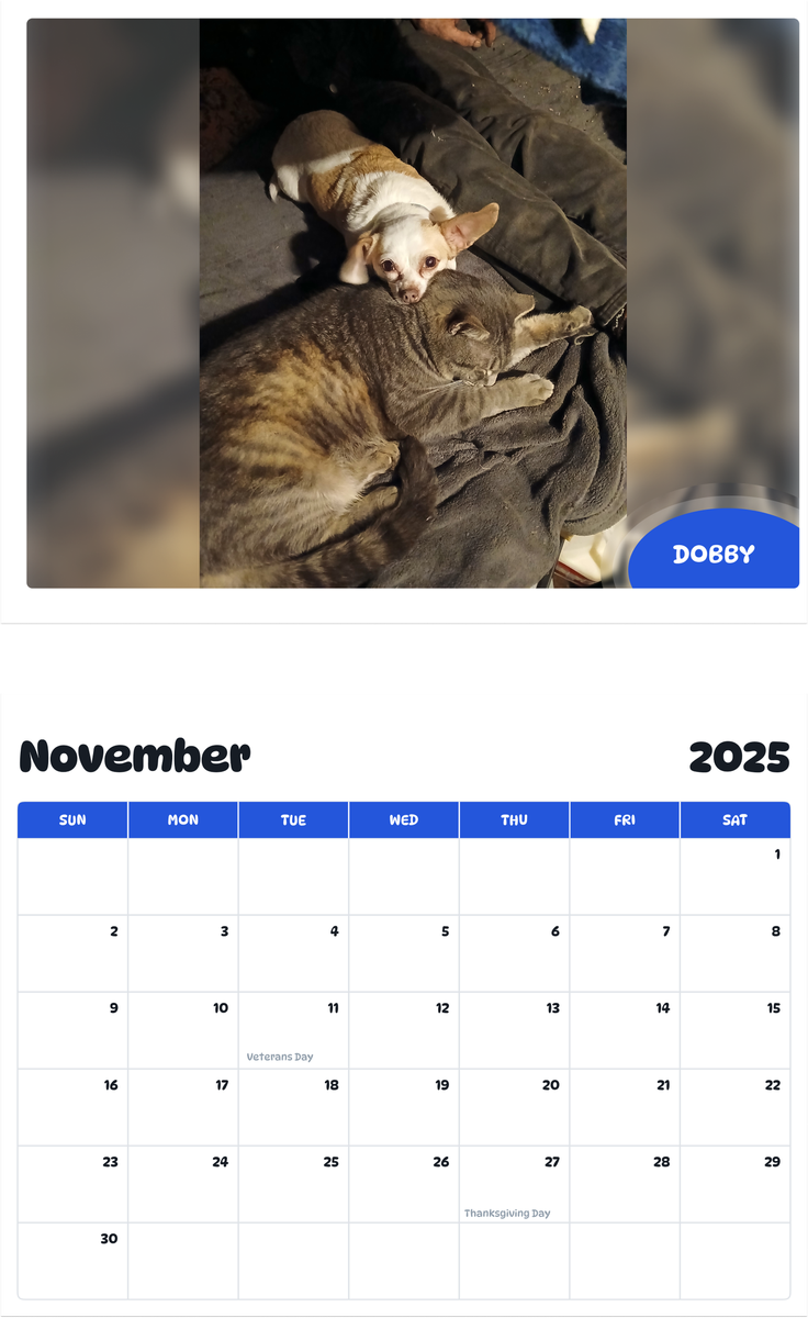 July 2025 - June 2026 Dobby - Pawidols Pet Calendar
