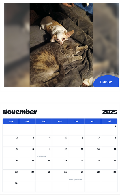 July 2025 - June 2026 Dobby - Pawidols Pet Calendar