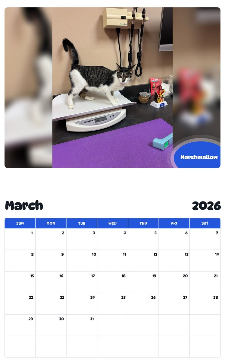 November 2025 - October 2026 Marshmallow - Pawidols Pet Calendar