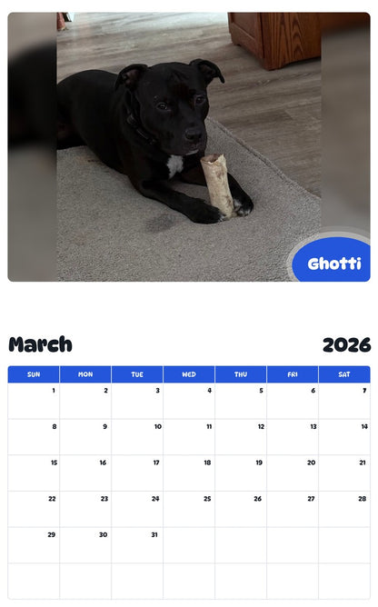 November 2025 - October 2026 Ghotti - Pawidols Pet Calendar