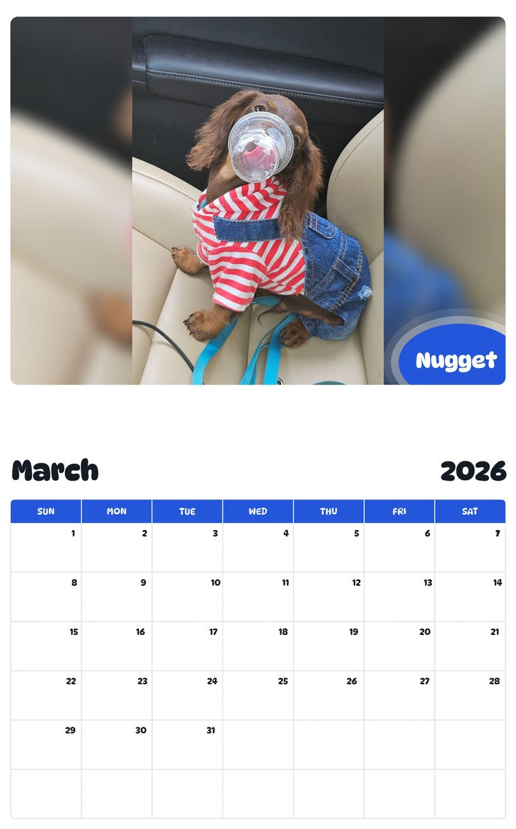 November 2025 - October 2026 Nugget - Pawidols Pet Calendar