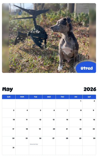 2026 - 2027 Utred - Pawidols Pet Calendar