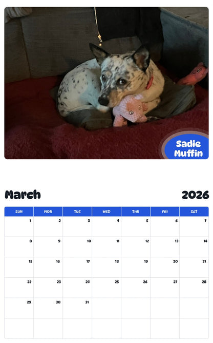 November 2025 - October 2026 Sadie Muffin - Pawidols Pet Calendar
