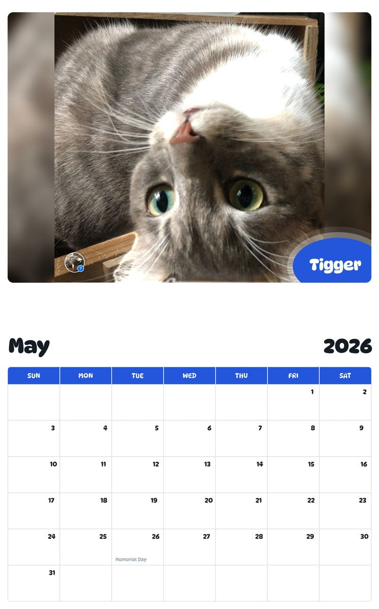 2026 - 2027 Tigger - Pawidols Pet Calendar