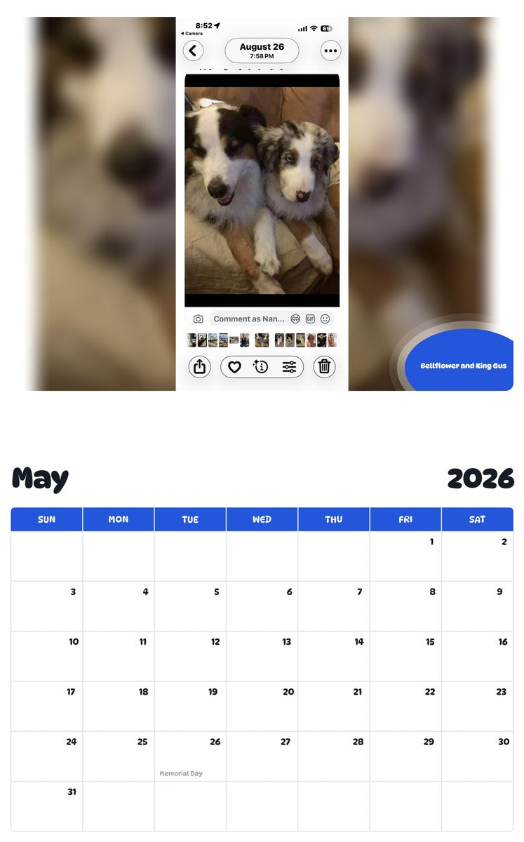 2026 - 2027 Bellflower and King Gus - Pawidols Pet Calendar