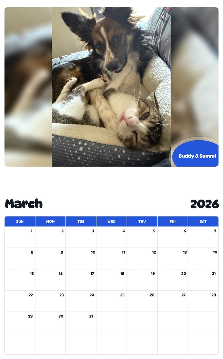 November 2025 - October 2026 Buddy & Sammi - Pawidols Pet Calendar