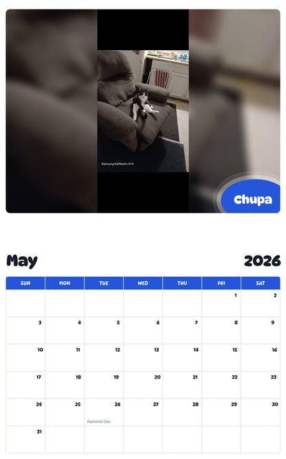 2026 - 2027 Chupa - Pawidols Pet Calendar