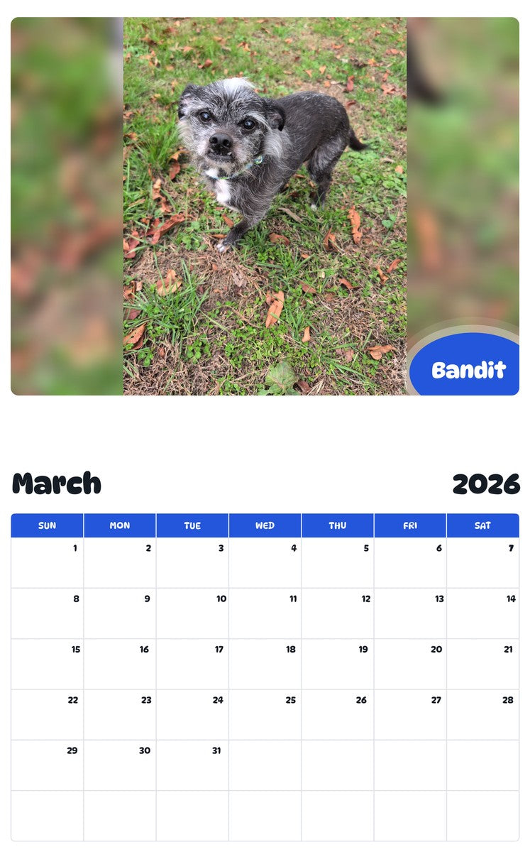 November 2025 - October 2026 Bandit - Pawidols Pet Calendar