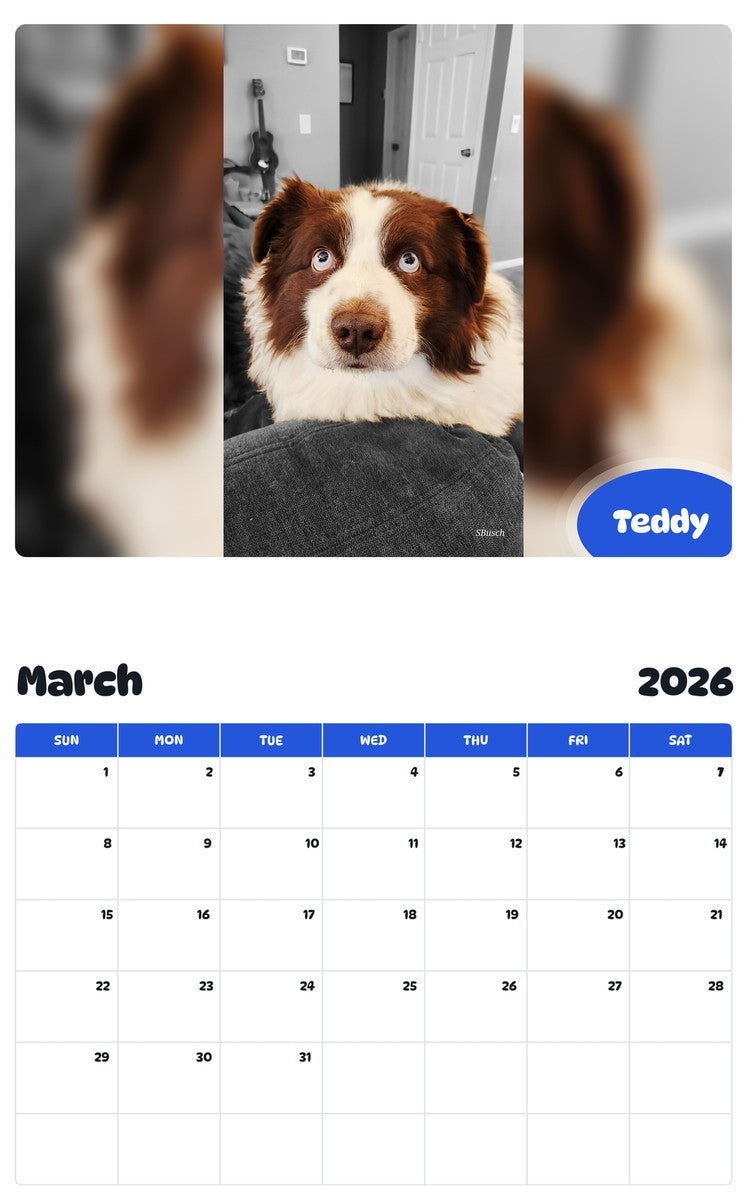 November 2025 - October 2026 Teddy - Pawidols Pet Calendar