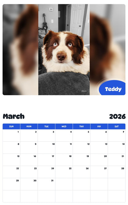 November 2025 - October 2026 Teddy - Pawidols Pet Calendar