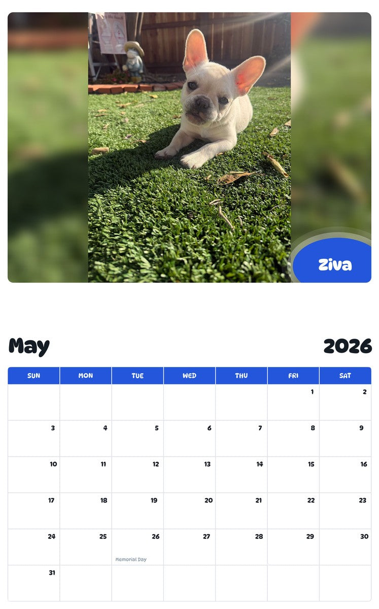 2026 - 2027 Ziva - Pawidols Pet Calendar