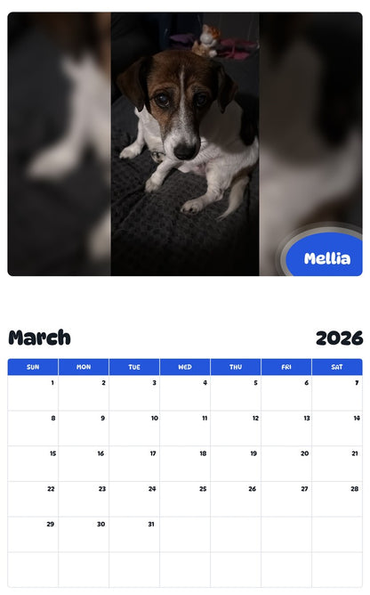 November 2025 - October 2026 Mellia - Pawidols Pet Calendar
