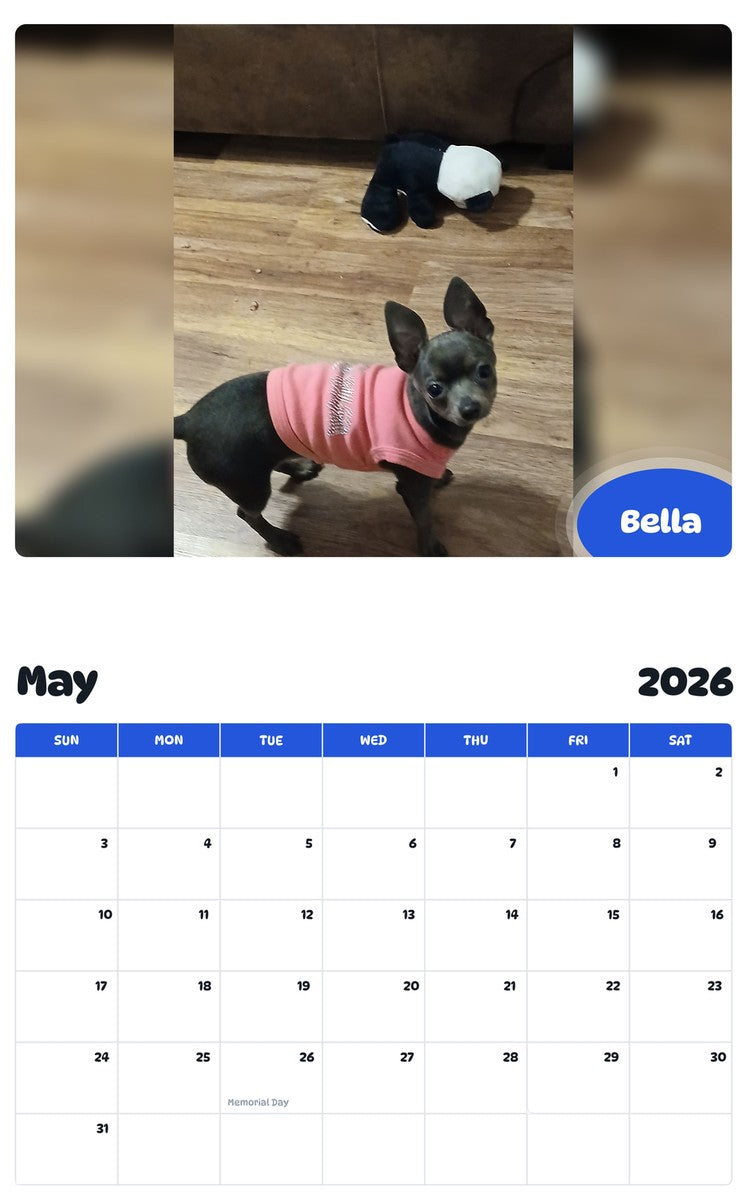 2026 - 2027 Bella - Pawidols Pet Calendar