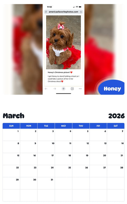November 2025 - October 2026 Honey - Pawidols Pet Calendar