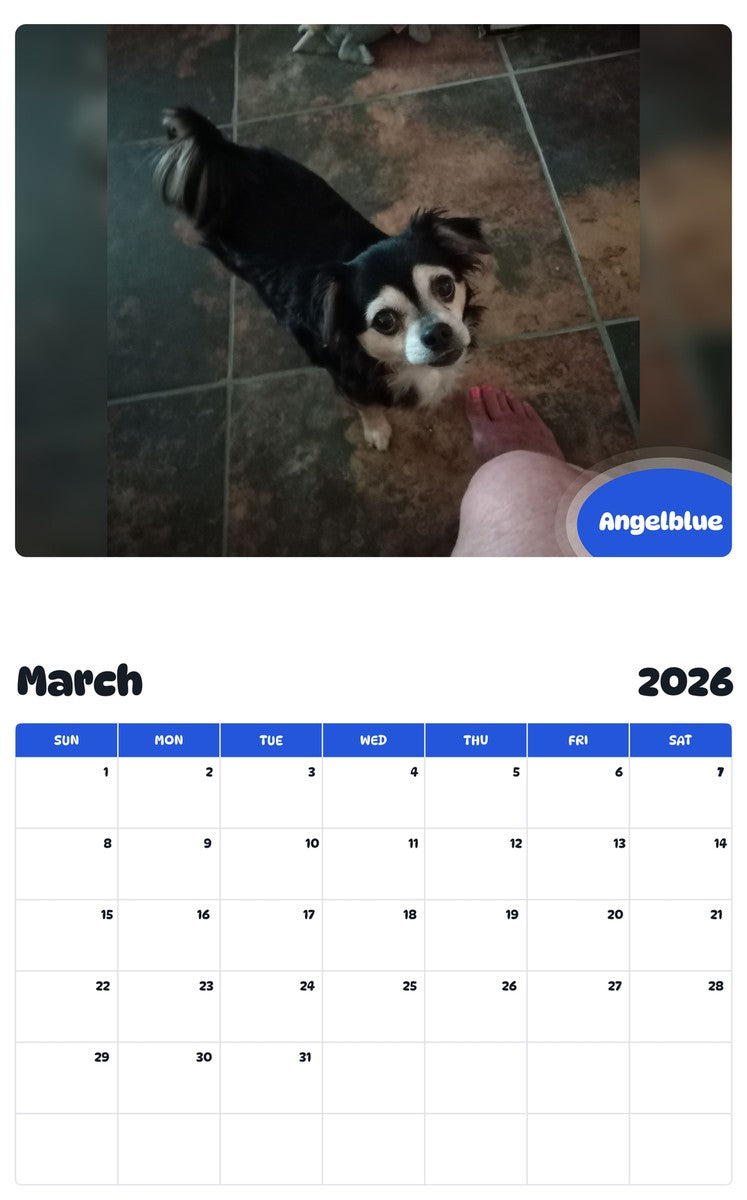 November 2025 - October 2026 Angelblue - Pawidols Pet Calendar