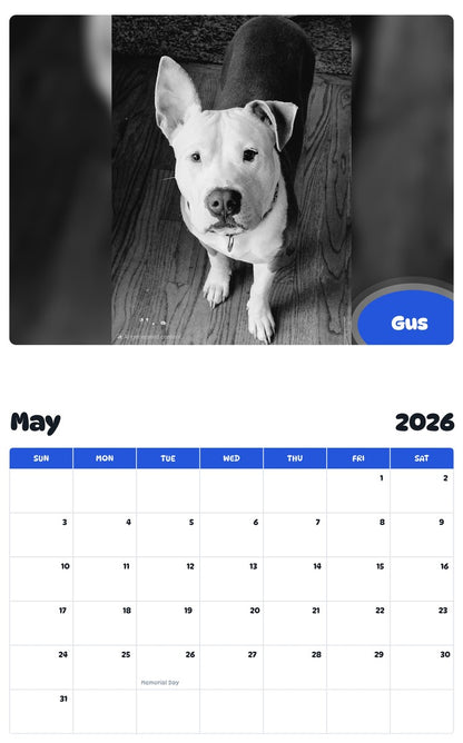 2026 - 2027 Gus - Pawidols Pet Calendar