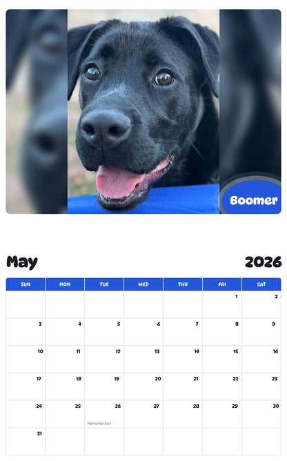 2026 - 2027 Boomer - Pawidols Pet Calendar
