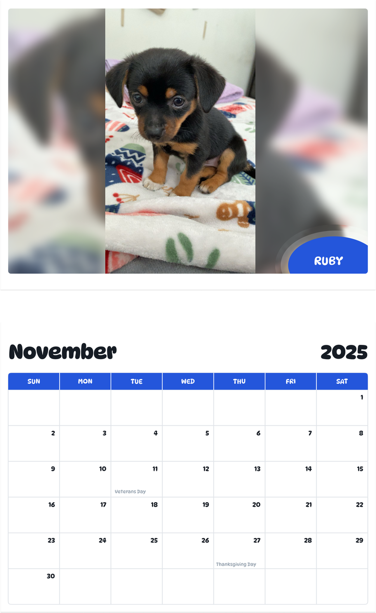 July 2025 - June 2026 Ruby - Pawidols Pet Calendar