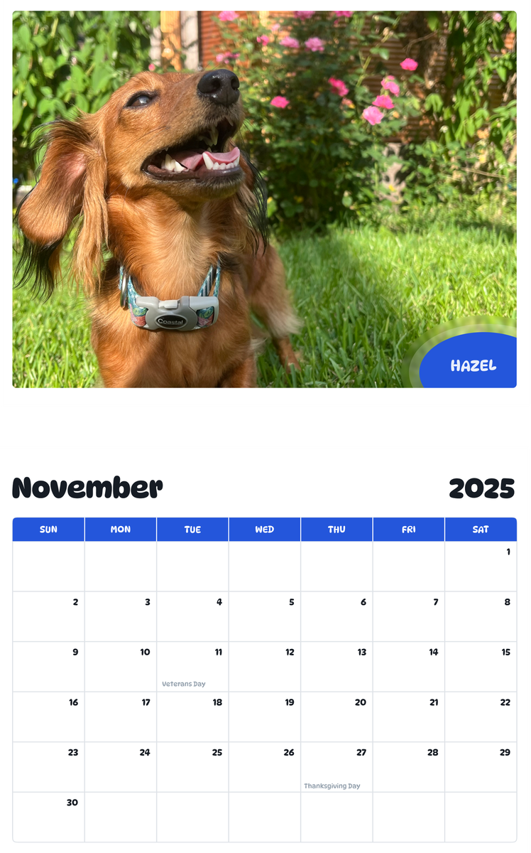 July 2025 - June 2026 Hazel - Pawidols Pet Calendar