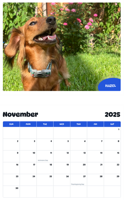 July 2025 - June 2026 Hazel - Pawidols Pet Calendar