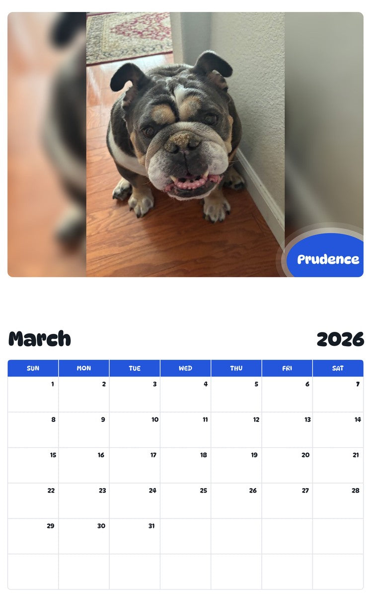 November 2025 - October 2026 Prudence - Pawidols Pet Calendar
