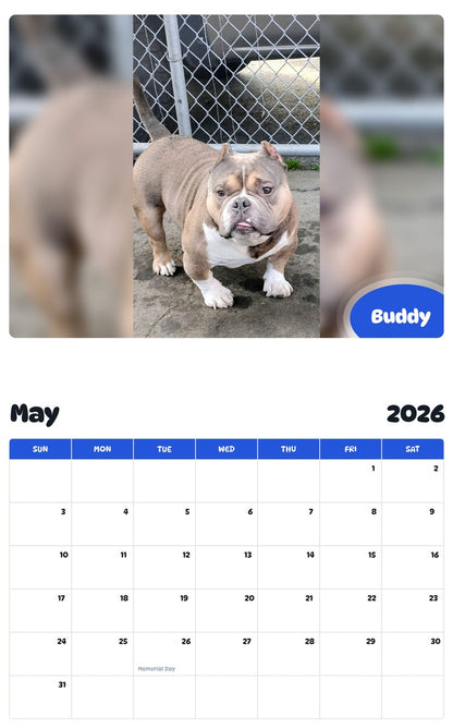 2026 - 2027 Buddy - Pawidols Pet Calendar
