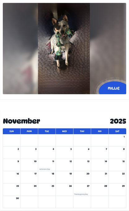 July 2025 - June 2026 Millie - Pawidols Pet Calendar