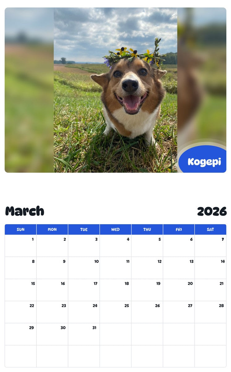 November 2025 - October 2026 Kogepi - Pawidols Pet Calendar
