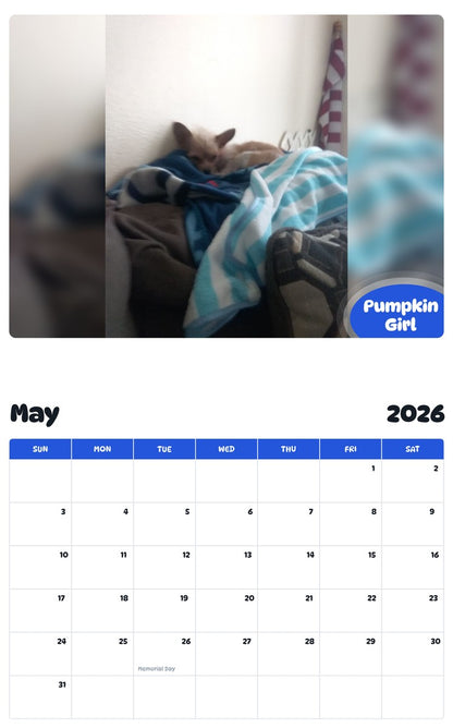 2026 - 2027 Pumpkin Girl - Pawidols Pet Calendar