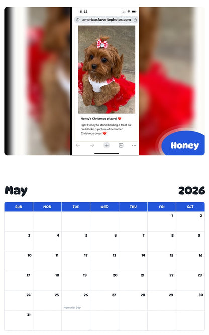 2026 - 2027 Honey - Pawidols Pet Calendar