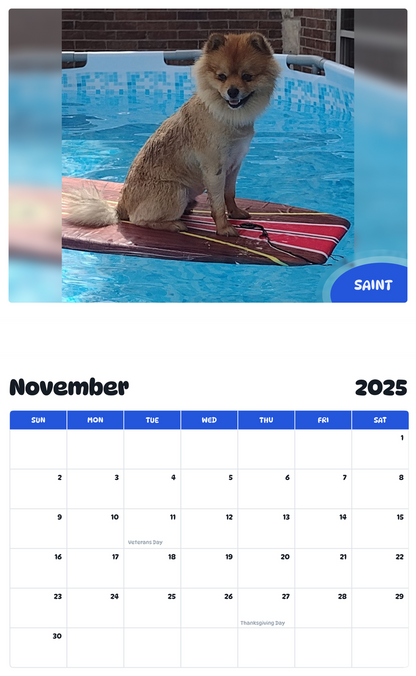July 2025 - June 2026 Saint - Pawidols Pet Calendar