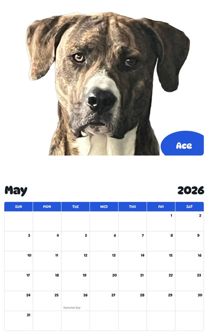 2026 - 2027 Ace - Pawidols Pet Calendar