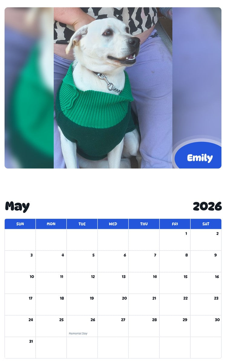 2026 - 2027 Emily - Pawidols Pet Calendar