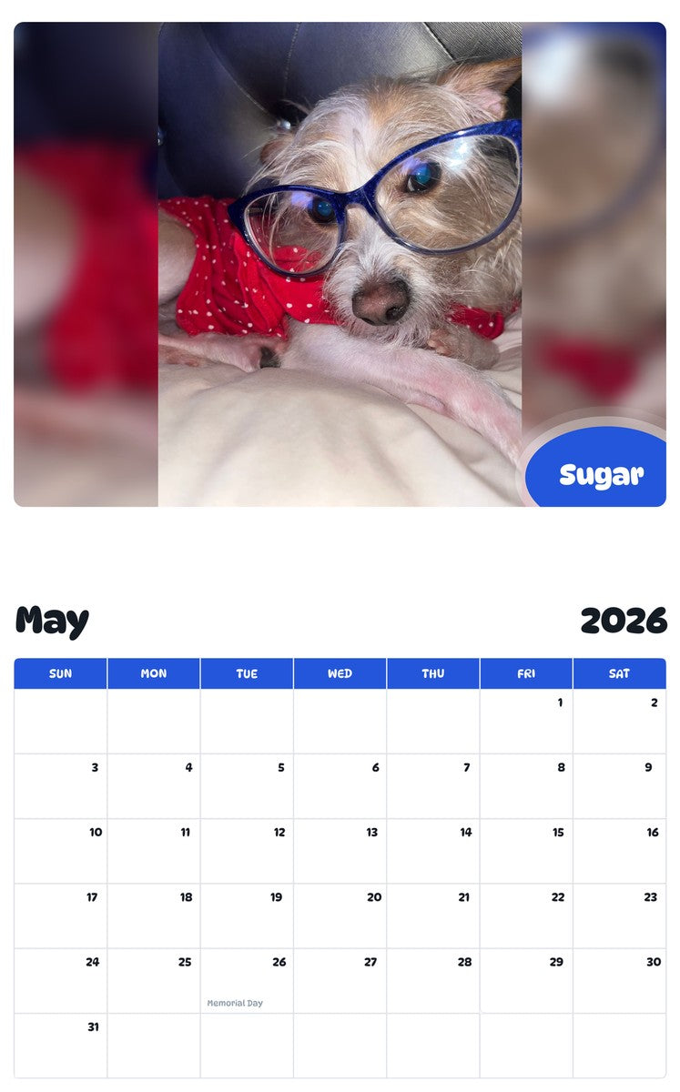 2026 - 2027 Sugar - Pawidols Pet Calendar