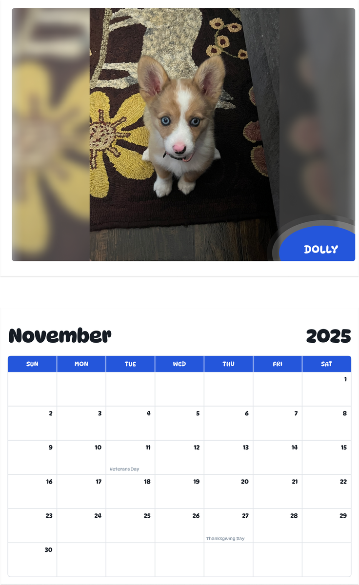 July 2025 - June 2026 Dolly - Pawidols Pet Calendar